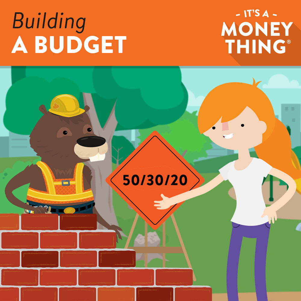 Building a Budget IAMT